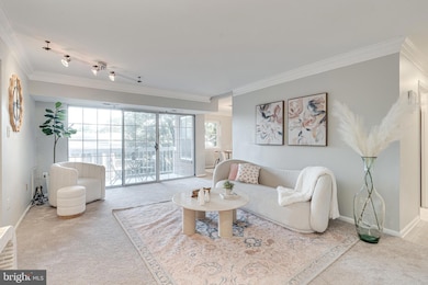 1923 Wilson Ln unit 202, McLean, VA 22102 - photo 4