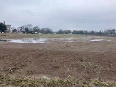 TBD Arkansas 144, Lake Village, AR 71653 - photo 4