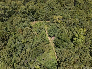 0 Chris Ln unit 25028271, Amity, AR 71921 - photo 7