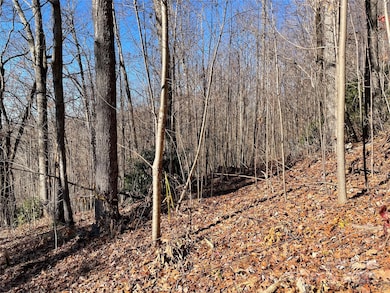 9999-1 Nesbitt Chapel Rd, Fairview, NC 28730 - photo 4