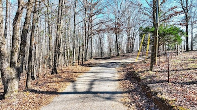 View of road with a wooded view