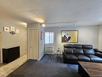 219 Fox Run Ln unit 2C, Carmel, NY 10512 - photo 5