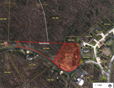 Lot 36 Buttonwood, Kimberling City, MO 65686 - photo 3