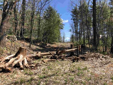 Lot 56-52-1 Federal Hill Rd unit 56-52-1, Milford, NH 03055 - photo 2