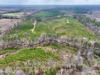 dji_fly_20240305_125846_0039_17096475502