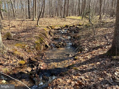 315 Beech Ln, Baker, WV 26801 - photo 4