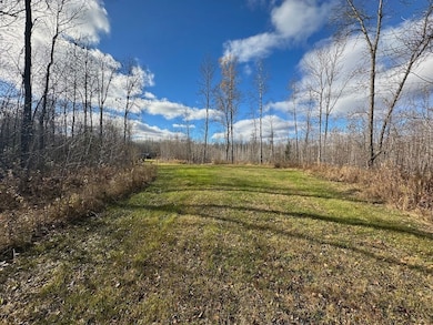 Tbd State Highway 65, Jacobson, MN 55752 - photo 7