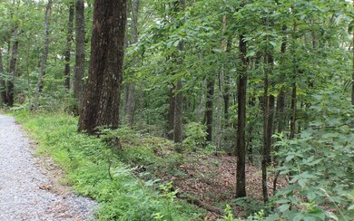 Additional View