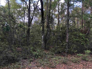 0 Noles Ln unit 1, Crawfordville, FL 32327 - photo 5