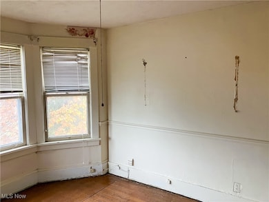 213 N Bentley Ave, Niles, OH 44446 - photo 4