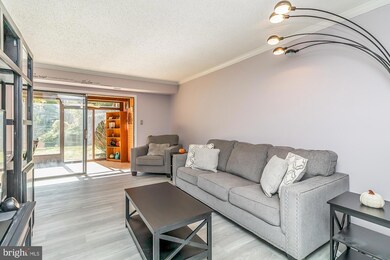 9 Suntop Ct, Baltimore, MD 21209 - photo 6