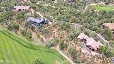 coyote mint 6