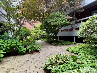 Courtyard with blooming flowers and greenery