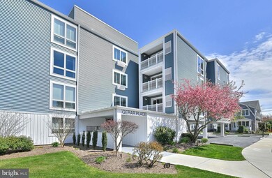 59 Maryland Ave unit 303, Rehoboth Beach, DE 19971 - photo 3