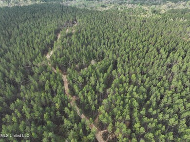 dji_fly_20240403_084300_0004_17125897059
