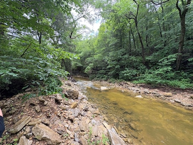 421 N Emory Creek Rd, Walnut Shade, MO 65771 - photo 2