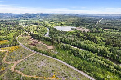 70 Joy Ln unit Lot 7, Humptulips, WA 98552 - photo 7