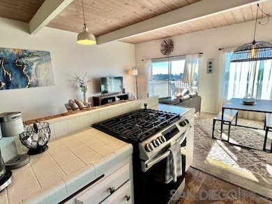 734 Dewitt Ave, Encinitas, CA 92024 - photo 5