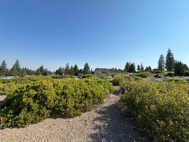 Unit 7-2 Lot 92 Puma Dr unit 7-2, Weed, CA 96094 - photo 3