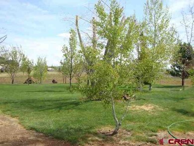 0 Road North 6 Loop unit 665164, Cortez, CO 81321 - photo 3