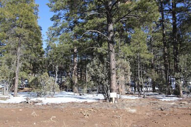 2121 S Bristlecone Dr unit 350, Show Low, AZ 85901 - photo 4