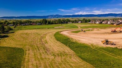 DJI_0175