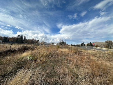 1180 Crestmore Ave, Weed, CA 96094 - photo 6