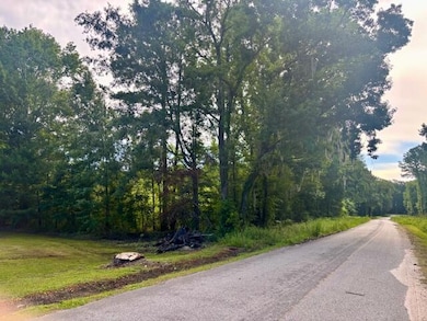 8946 Anderson Rd, Adams Run, SC 29426 - photo 3