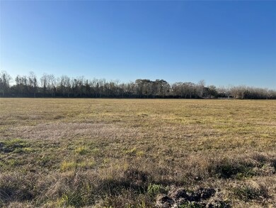 Lot 4 Rymal Ranch Rd, Algoa, TX 77511 - photo 3