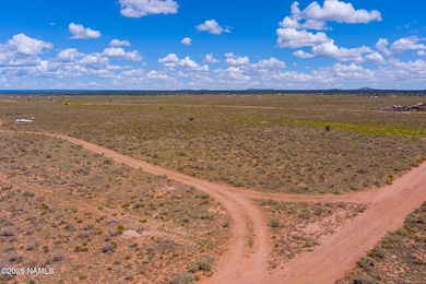 1883 E Vernon Rd, Williams, AZ 86046 - photo 2