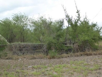 0 E Mile 12 N, Progreso Lakes, TX 78596 - photo 2