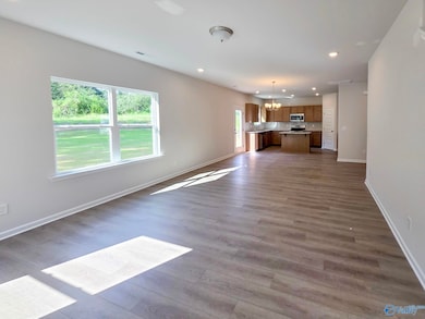 7314 Pine Run Ln, Owens Cross Roads, AL 35763 - photo 6