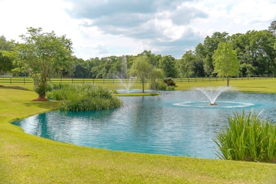 895 Hiawatha Farms Rd, Monticello, FL 32344 - photo 5