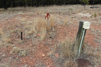11878 Calamity Jane Dr, West Custer, SD 57747 - photo 5