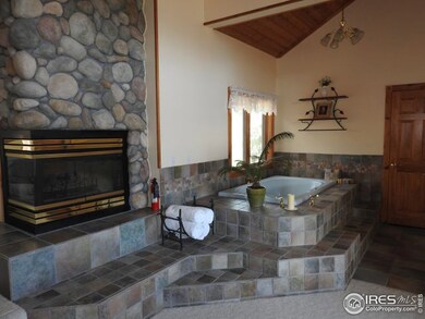 Master Bathroom and Fireplace