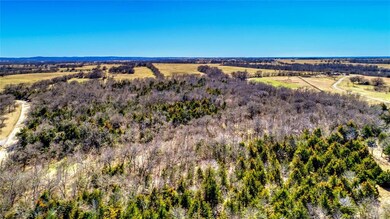 TBD Park Road 20 Rd, Denison, TX 75020 - photo 4