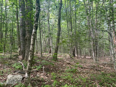 0 Johnny Cake Hill Rd unit 246420, Middlefield, MA 01243 - photo 5