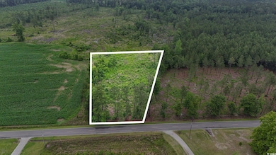 View of property location featuring a forest and property boundaries highlighted