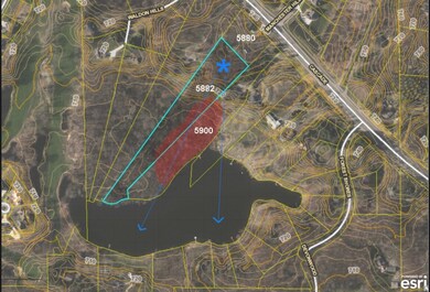 topographical map