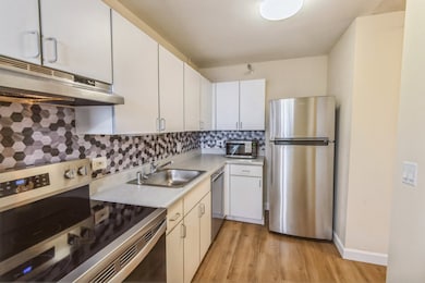 unlisted-address, Chicago, IL 60611 - photo 4