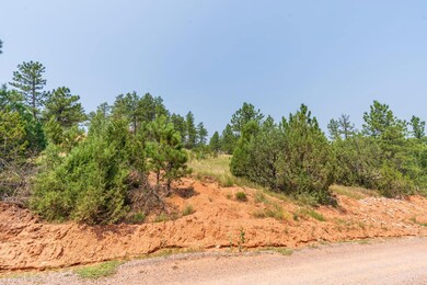 0 Stardust Pass, Northeast Fall River, SD 57747 - photo 7