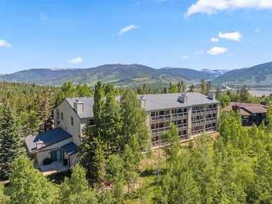 4624 Ryan Gulch Rd unit 4624, Silverthorne, CO 80498 - photo 3