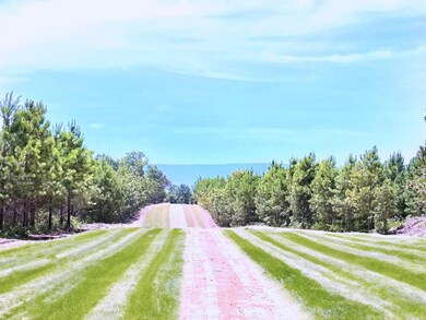 Tract 2C Avalon Lake Ln, Mena, AR 71953 - photo 7