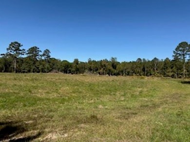 701 Barnes Rd, Pike Road, AL 36064 - photo 6