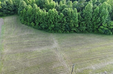 000 Old Samburg Rd, Hornbeak, TN 38232 - photo 2