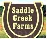 2101 E Saddle Creek Dr, Roanoke, IN 46783 - photo 2