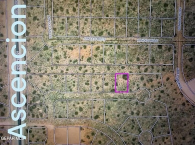 PN-281469 Ascencion St, Horizon City, TX 79928 - photo 4