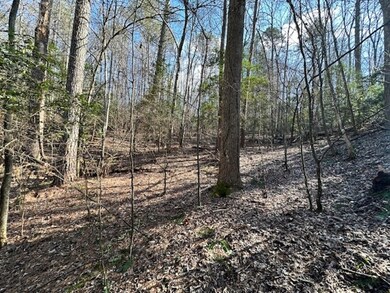 LT 3764R Eagle Mountain Dr, Ellijay, GA 30540 - photo 5