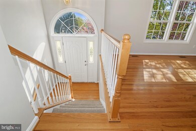 106 Southampton Ct, Stephens City, VA 22655 - photo 4