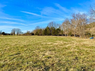 231 Highway 1003, Somerset, KY 42501 - photo 4